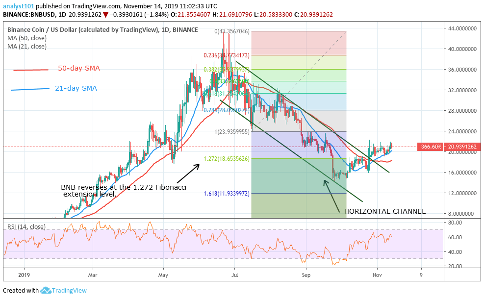 BNBUSD-Daily Chart