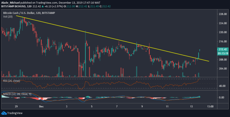 Bitcoin Cash Growth Chart