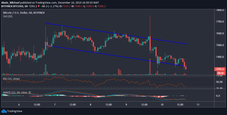 Bitcoin Rsi Chart Live