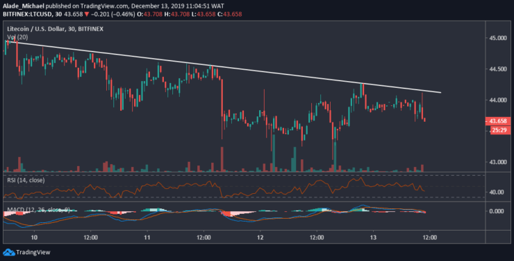 Litecoin Real Time Price Chart