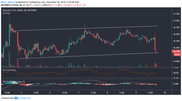 Litecoin Hourly Chart