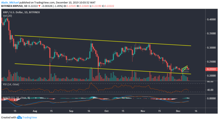 Ripple Performance Chart