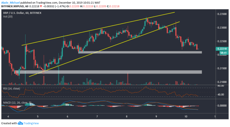 Ripple Performance Chart