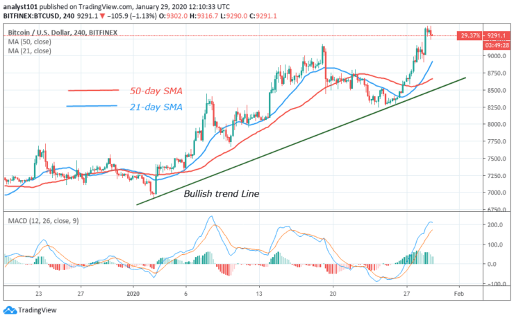 BTC/USD - Daily Chart