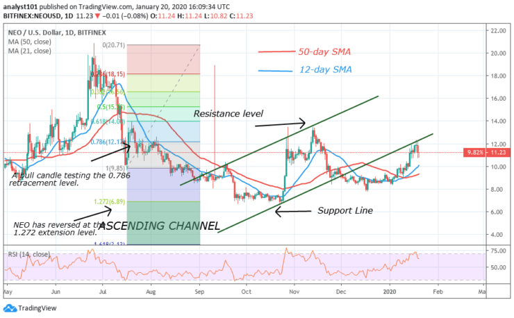 NEO/USD - Daily Chart