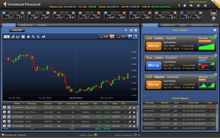The largest forex brokers in the world forexpros usd gbp history