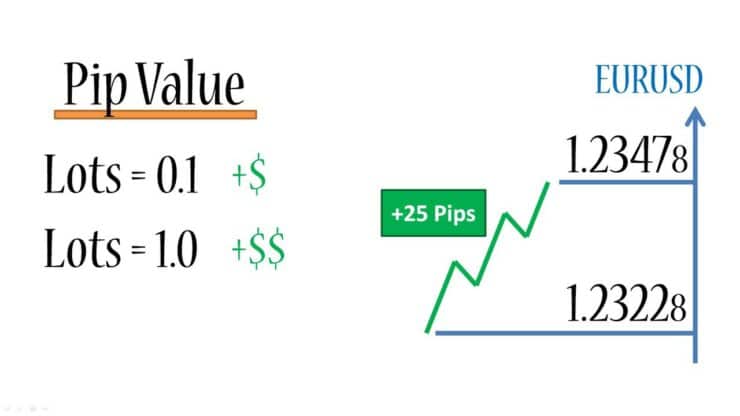 Gold Pip Calculator Forex Pips Learn 2 Trade 2022 Guide August 2022