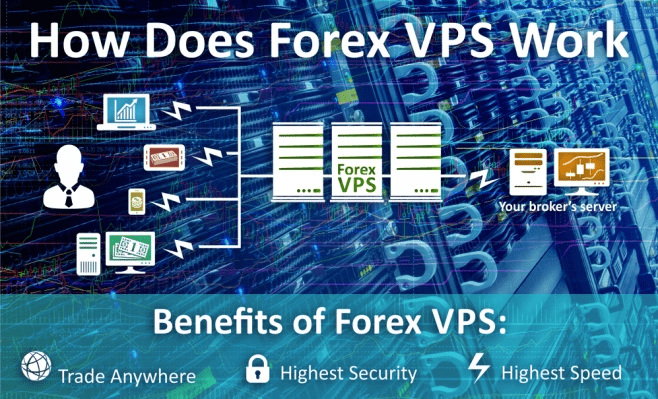 forex vps server