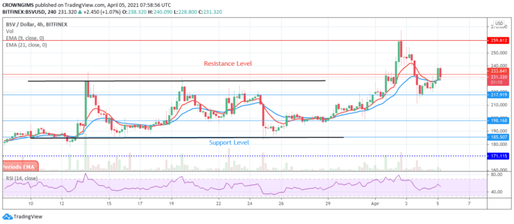 Bitcoin SV Price May Continue Bullish Movement to $259 Resistance Level   