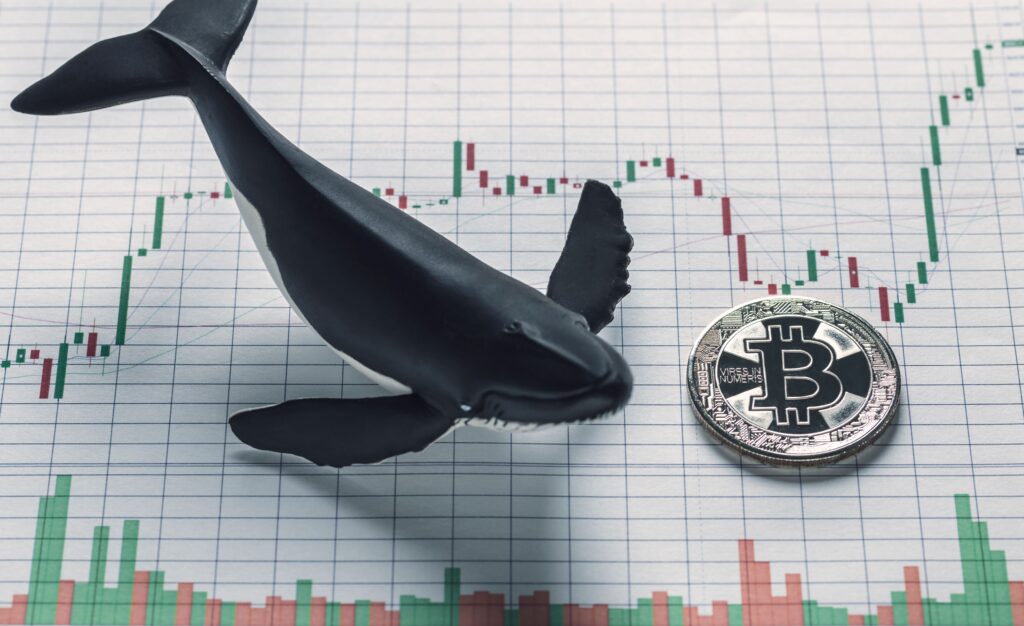 Bitcoin Surges as Whales Accumulate and Legislation Looms