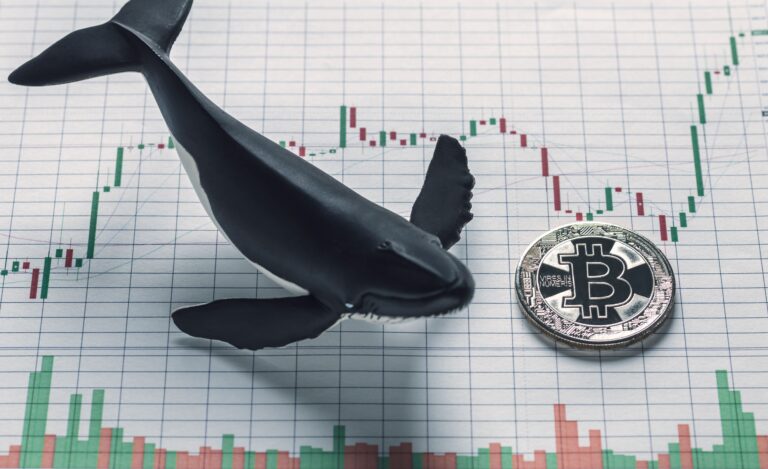 Bitcoin Surges as Whales Accumulate and Legislation Looms
