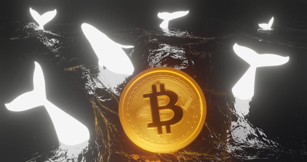 Bitcoin Prices Dip Below $29K Amidst Large Whale Transactions