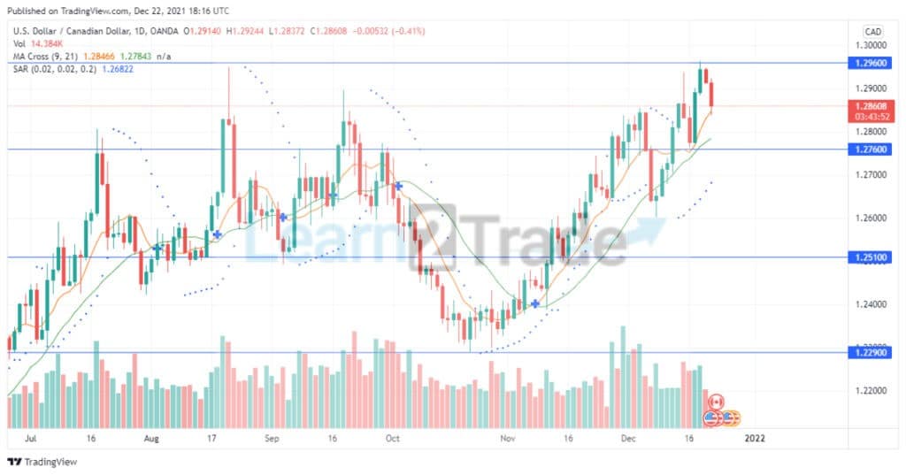 USDCAD Turns Downward In A Bullish Market