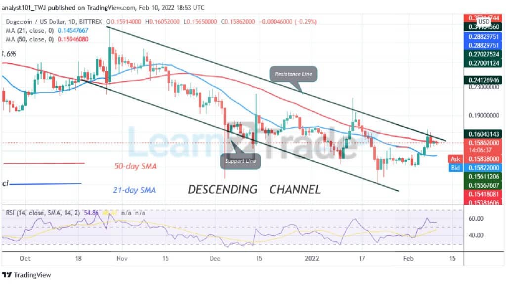 Dogecoin Holds above $0.15 as Buyers Regroup to Resume Uptrend