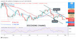 Polkadot Plunges to the Oversold Region as the Altcoin Declines to 