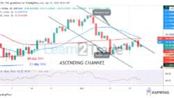 Polkadot Consolidates AboveLow as Bulls Fail To OvercomeHigh