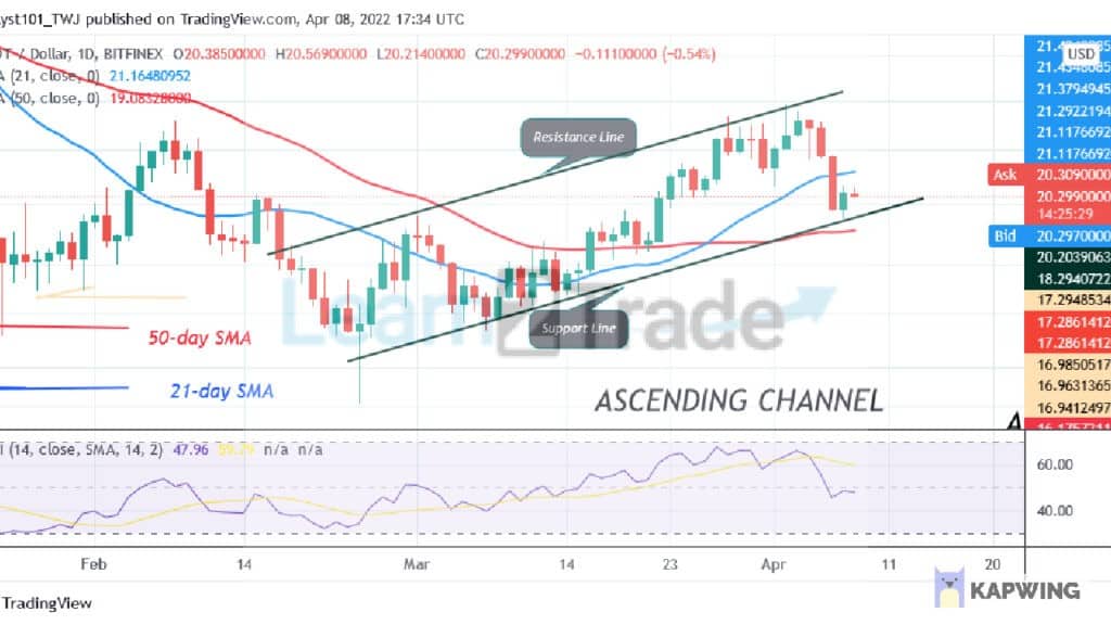 Polkadot Fluctuates Above $19 as Buyers and Sellers Reach Indecision