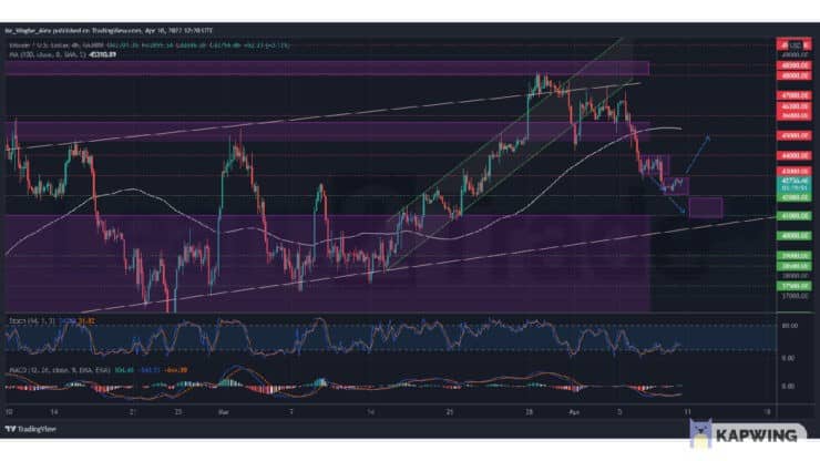 Bitcoin Trader Studio 10