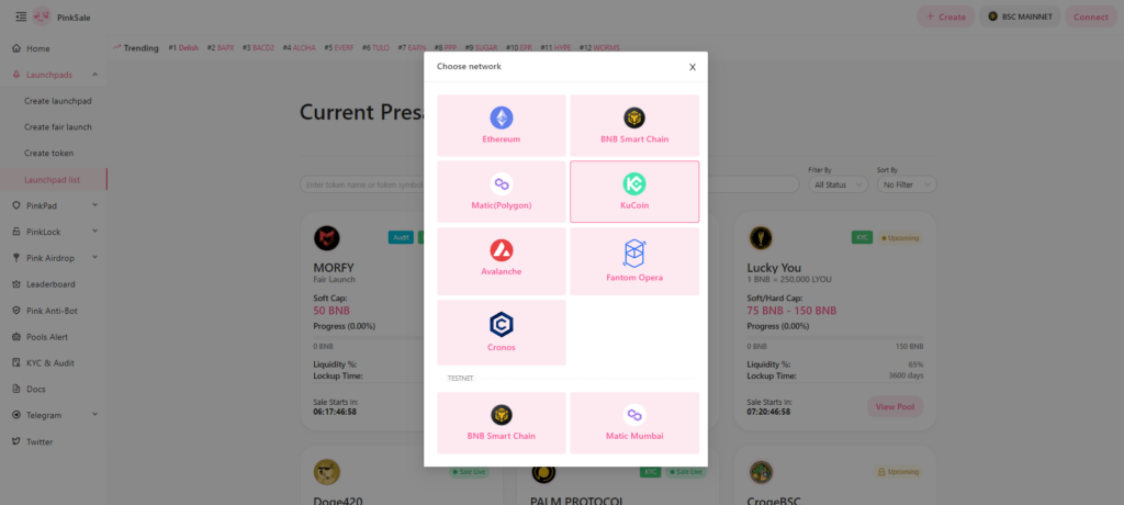 Choosing a blockchain network on PinkSale