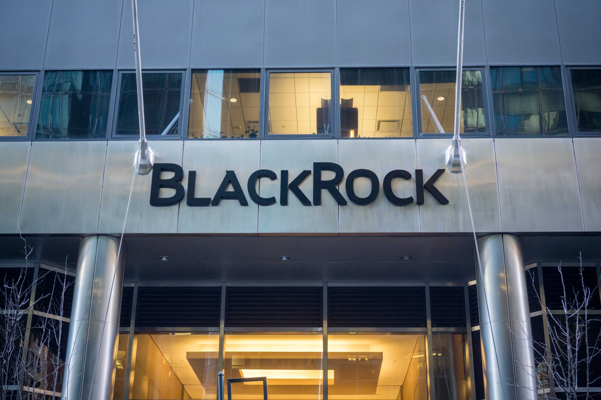 Blackrock CIO Rieder Defends Bitcoin and Crypto Durability Despite Ongoing Crash