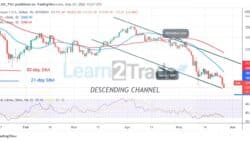 Polkadot Hovers aboveSupport as Bears Attempt to Revisit .18 Low