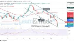 Solana (SOL) Is in a Fresh Decline as It Hold Above 