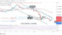 Solana’s Continuous Downward Move, Faces Rejection at 