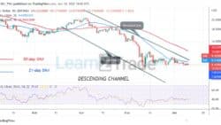 Polkadot Hovers aboveAs Bears Push to the Previous Low at .18