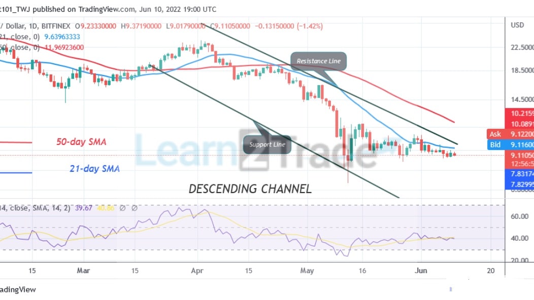 Polkadot Hovers above $8 As Bears Push to the Previous Low at $7.18