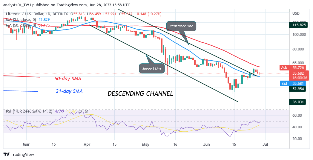 Litecoin Rallies To $60 High But Declines As It Revisits $41 Low
