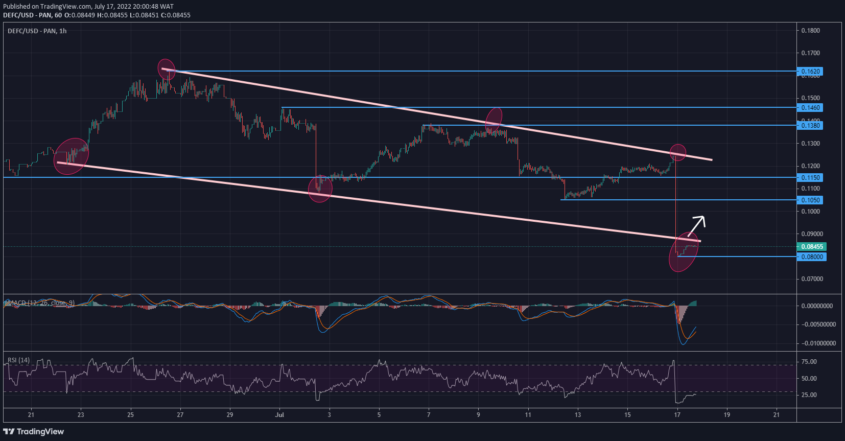 DeFI Coin Price Forecast