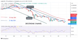 Polkadot Risks Decline below Current Support as It Targets the .60 Low