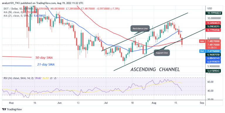 Polkadot Reaches the Oversold Region as It Holds Above $7.00