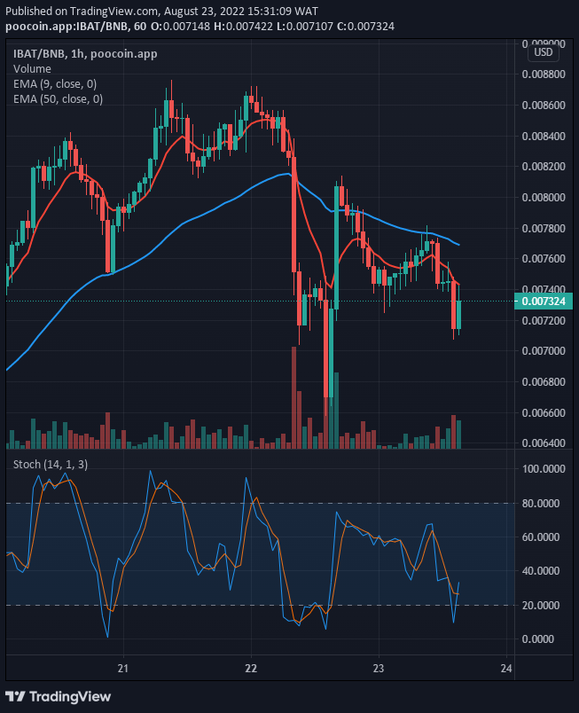 IBAT/USD price will most likely continue its bullish run and the price could still go higher if the price is able to break up the $0.008562, then we can expect a good upside momentum up to $0.01000.