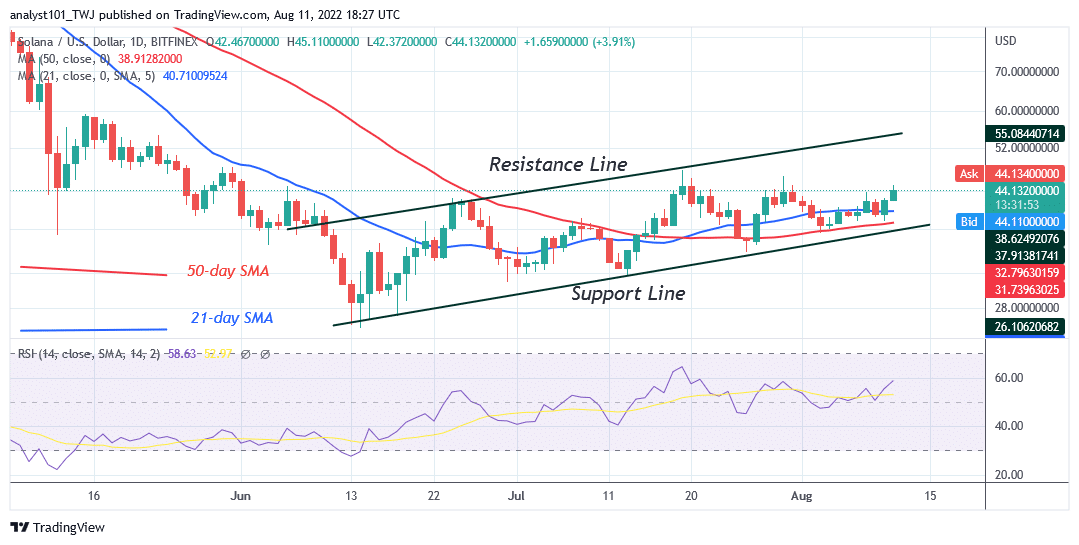 Solana Turns from $48 High as It Fluctuates Above Support at $44