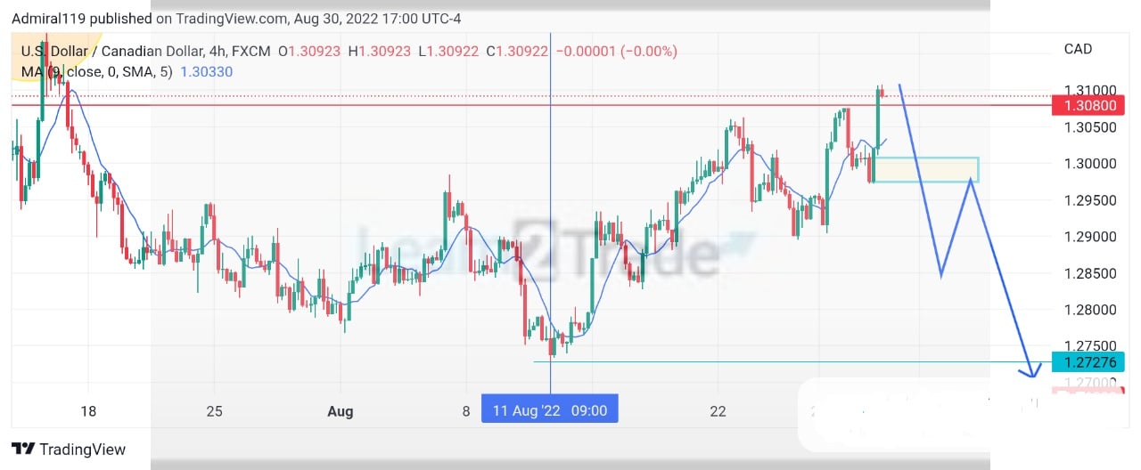 USDCAD Bears Finally Led the Market Towards a Resistance Level