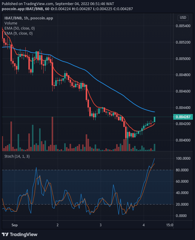 IBAT/USD price may likely touch the resistance level of $0.007000 at the upper resistance soon. This can be achieved provided the bulls exert more force to their tension in the market and the bullish leg extended above the $0.005034 high level.