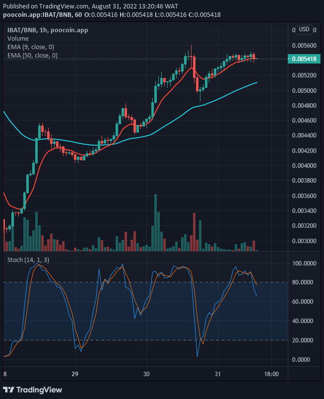 IBATUSD is slightly in favor of the bulls. We can actually see a bullish reversal price action on the lower time and the price could be ready very soon for another upward move potential.