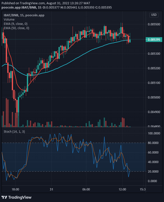 IBATUSD is slightly in favor of the bulls. We can actually see a bullish reversal price action on the lower time and the price could be ready very soon for another upward move potential.