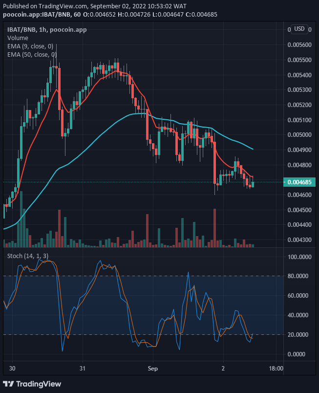 Battle Infinity price is on its way to the resistance channel. According to the chart below, there is a higher probability of the price breaking up the resistance level of $0.005338.