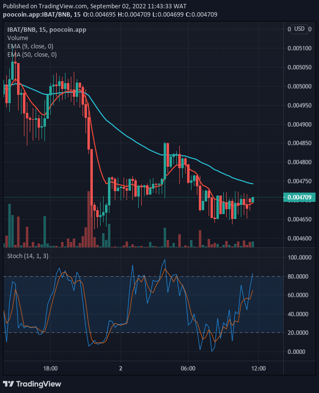 Battle Infinity price is on its way to the resistance channel. According to the chart below, there is a higher probability of the price breaking up the resistance level of $0.005338.