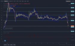 Lucky Block Price