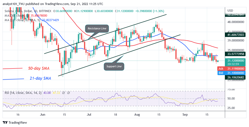 Solana Hovers above $30 as It Risks Further Decline