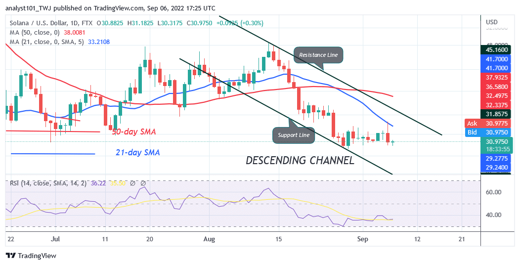 Solana Revisits and Holds above $30 Crucial Support