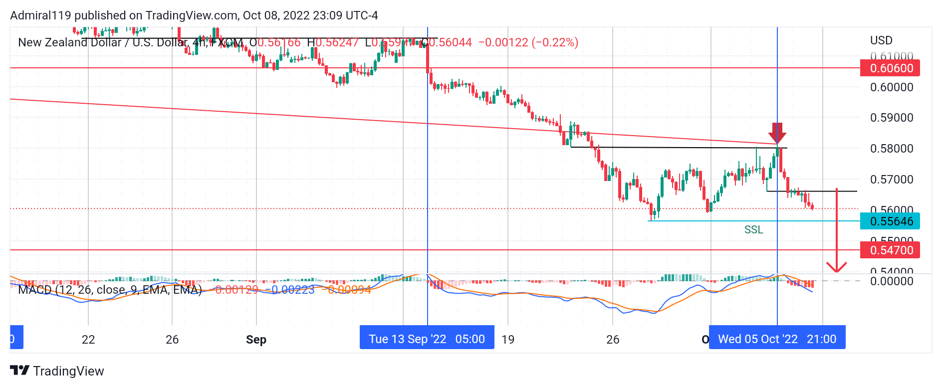 NZDUSD Sellers Continue the Market Trend to the Downside