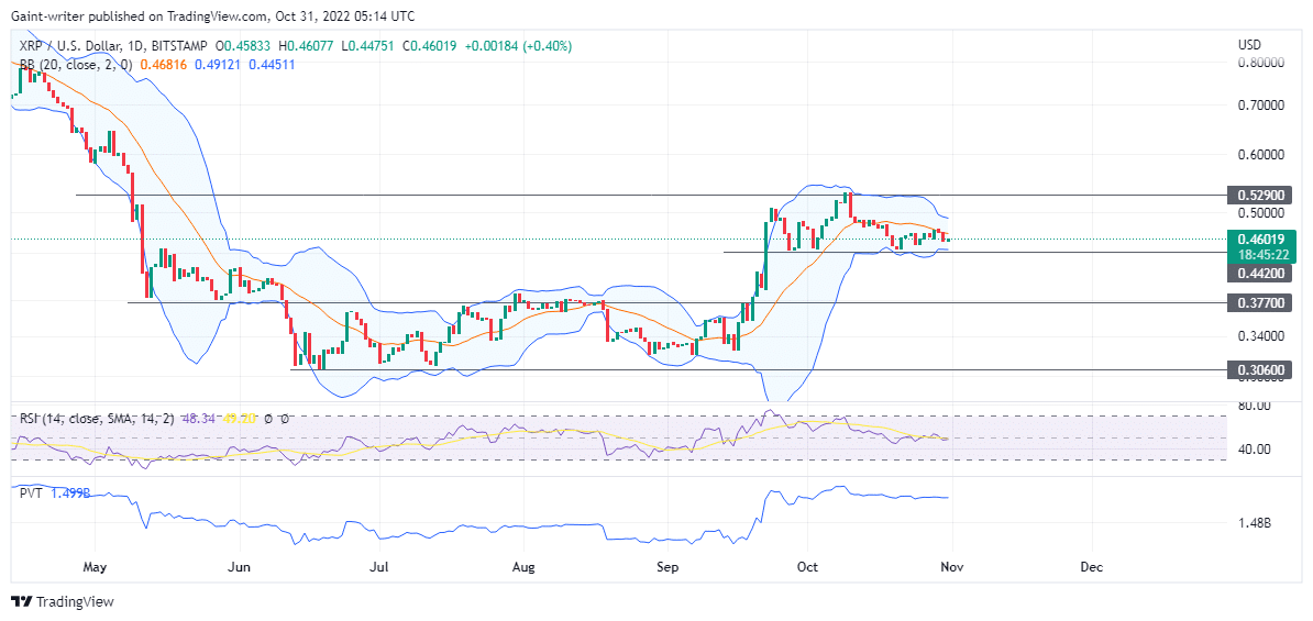 Ripple Is Being Backed Up As Positive Action Is Anticipated