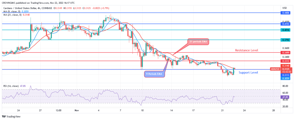 Cardano Price: Will There Be a Bullish Reversal at $0.31 Level?