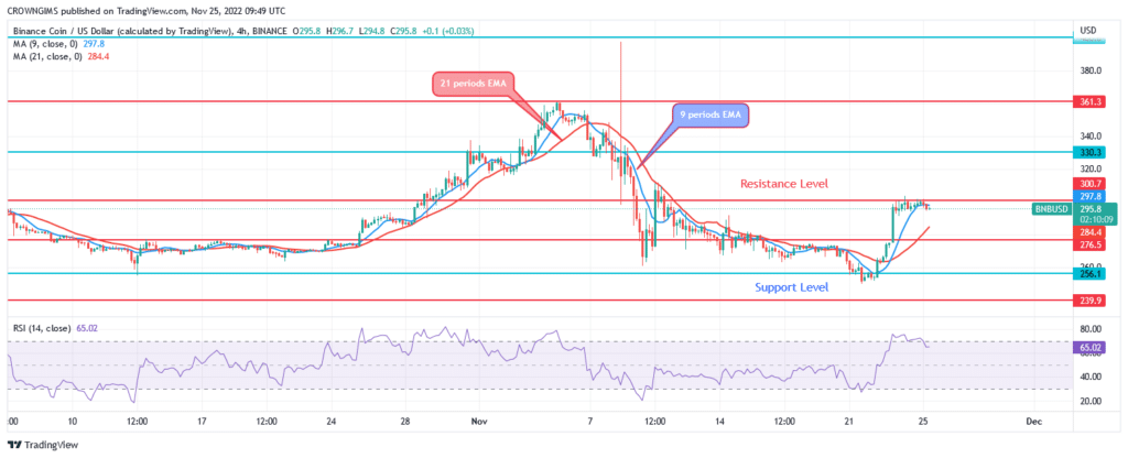 Binance Coin (BNBUSD) Price: Bulls Are Opposing Bears at $256 Support Level