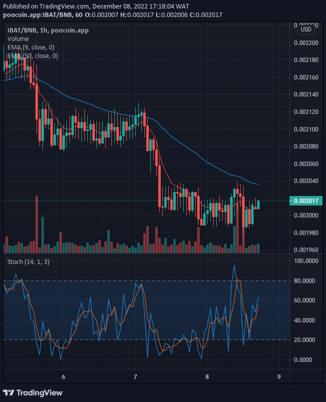 Battle Infinity (IBAT) Looks Good for the Bulls