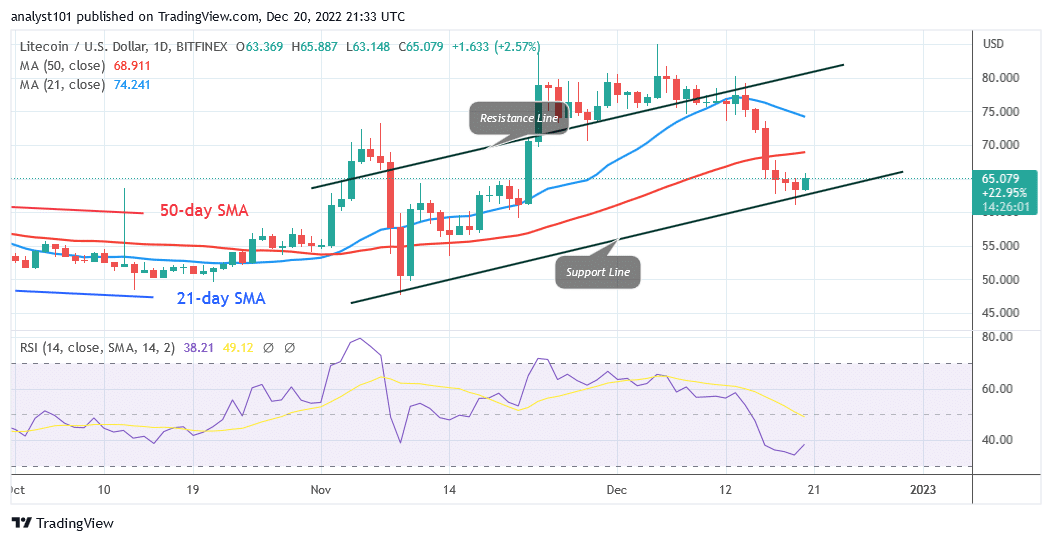 Litecoin Drops as It Struggles to Overcome the $66 High